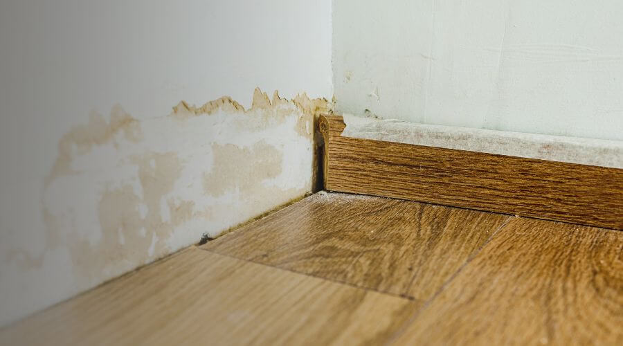 Why choose Lowcountry Water Damage Solutions for water extraction charleston sc in Charleston